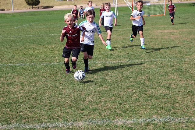 印尼在赛前 印尼在赛前