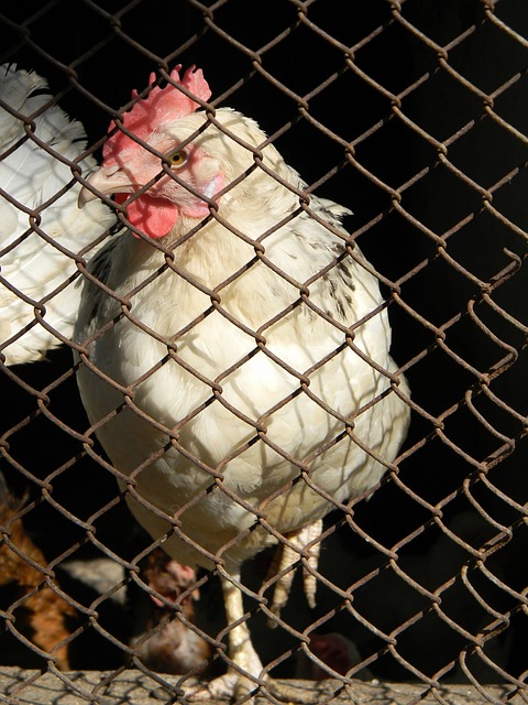 的记录可能 的记录可能