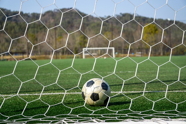 维纳尔杜姆 维纳尔杜姆