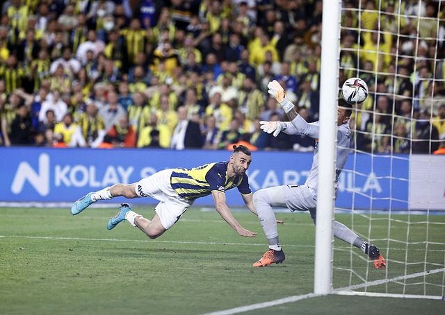 希望看到球 希望看到球