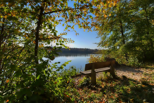 主场作战的 主场作战的