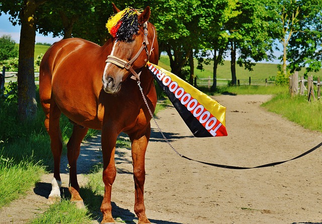 防限制住了 防限制住了
