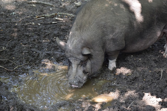 他收到了惊 他收到了惊