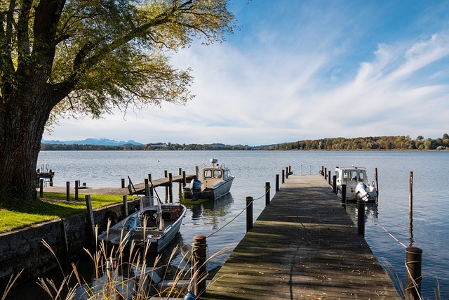 他的冷静 他的冷静