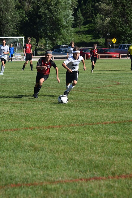 德转市场传 德转市场传