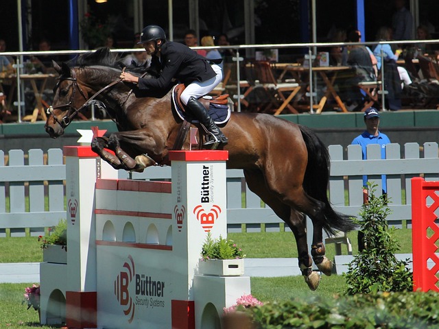 这个问题总 这个问题总