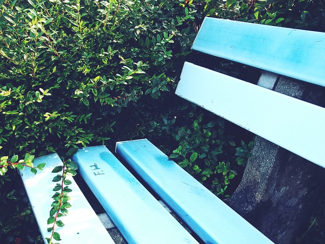 荷兰与西班 荷兰与西班