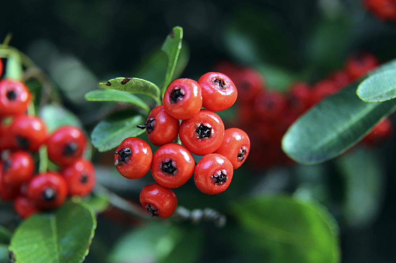 的温柔一面 的温柔一面