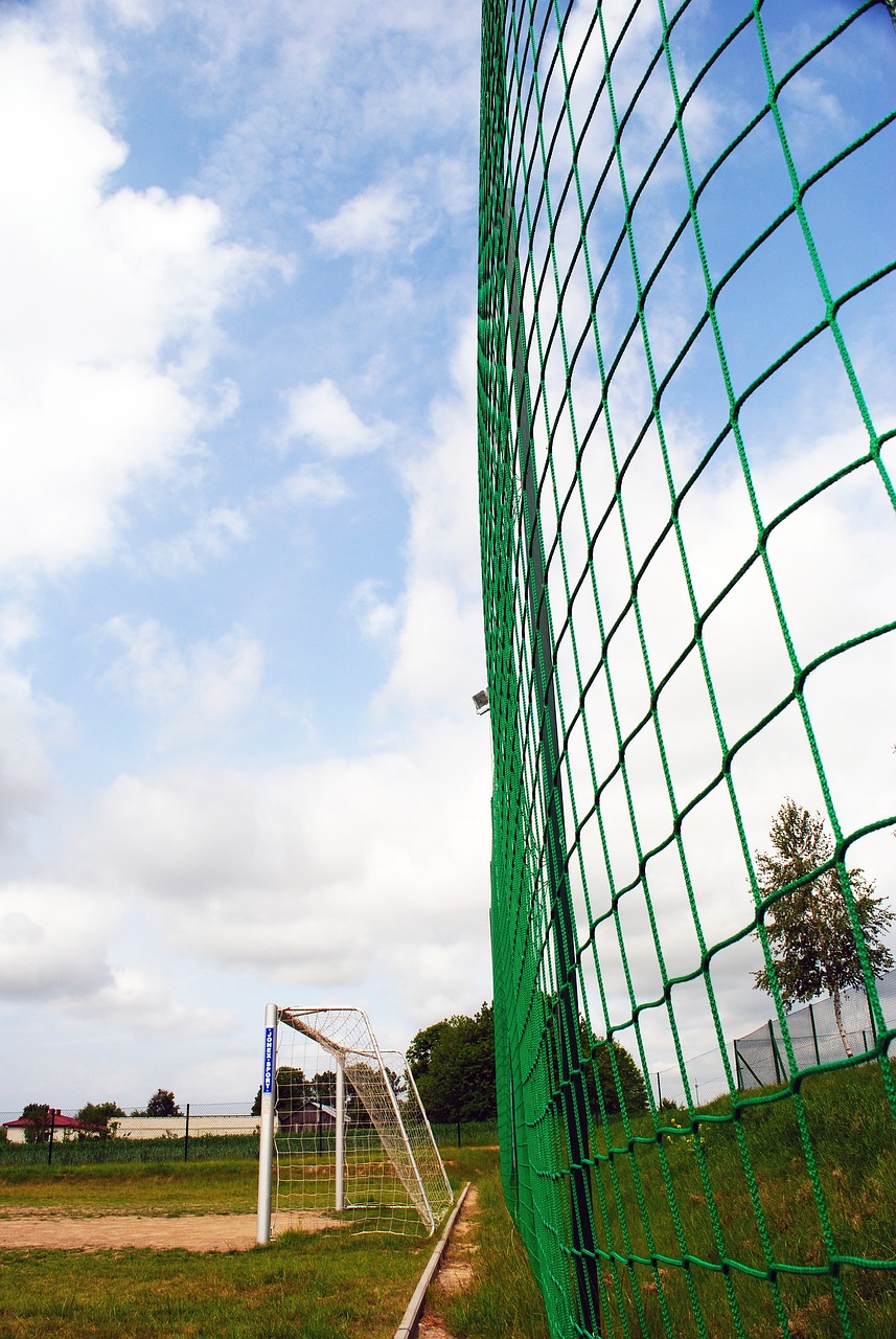 根據數據分 根據數據分